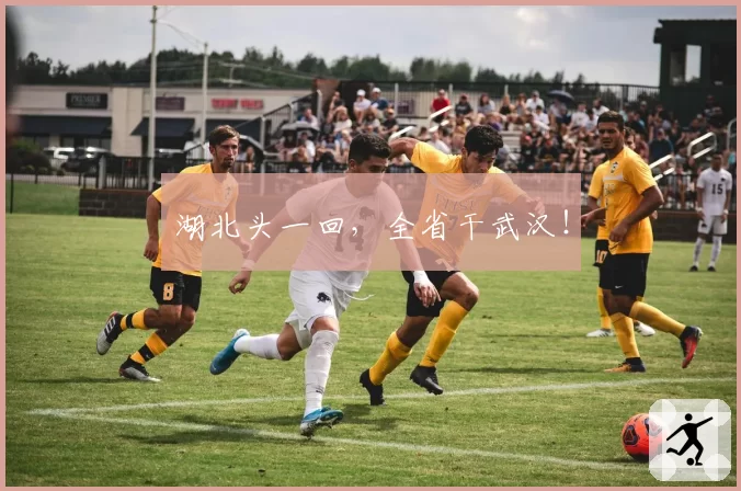 湖北头一回，全省干武汉！