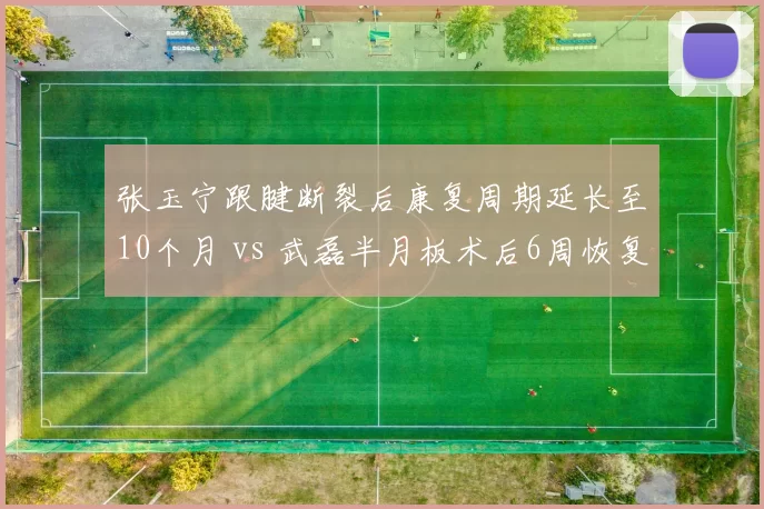 张玉宁跟腱断裂后康复周期延长至10个月 vs 武磊半月板术后6周恢复对抗,海港锋线换代推迟