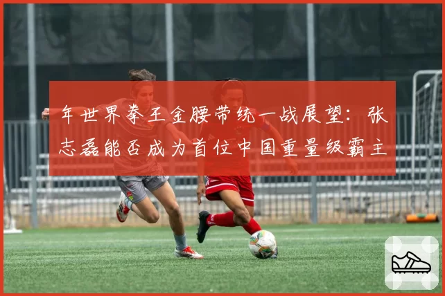 年世界拳王金腰带统一战展望：张志磊能否成为首位中国重量级霸主？